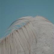 Borrowed World Widowspeak