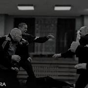 Дворовская Литвененко