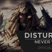 Never Wrong Disturbed