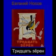 Носов Тринадцать Зерен