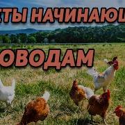 Курниц Я Куплю Новую Жизнь