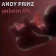 Unborn Life Andy Prinz