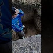 Могу Копать Могу Не Копать