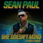 She Doesn T Mind Pitbull Remix Sean Paul