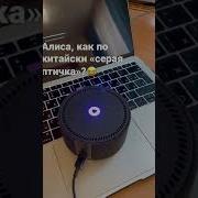 Да Спасибо Песня По Японски