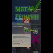 Мята Мята Мята Геншин