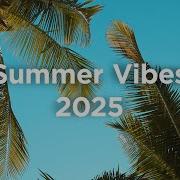 Don T Lose It 2023 Summer Vibes