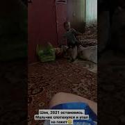 Жирдяй Споткнулся И Упал В Яму