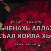 Дала Декъал Йойла Хьо Хьоме Маьрйиш