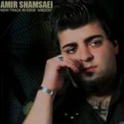 Amir Shamsaei Arezoo