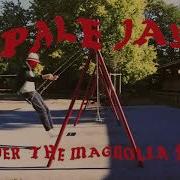 Pale Jay Under The Magnolia Tree Official Visualizer Pale Jay Music