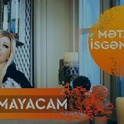 Metanet Isgenderli Danismayacam