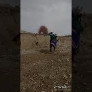 Аспи Точики Барой Бузкаши