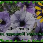 Лев В Порту Караоке С Текстом