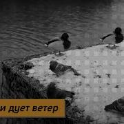 Бока Дует Ветер