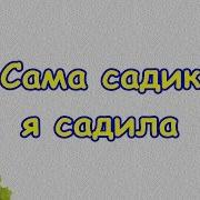 Сама Садик Я Садила Народная
