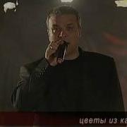 Дюмин Цветы Из Камня Альбом