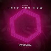 Rednod Into You Now