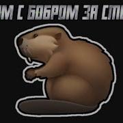 Вдвоём С Бобром Сидим За Столом Один Час