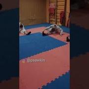 Эта Группировка Держала В Страхе