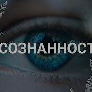 Пробуждение Осознанности