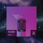 Ari Grey You Say Arsen Cyan Extended Remix