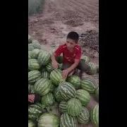 Модарам Чону Дилам