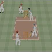 Intro Cricet