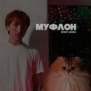 Круглы Шар Муфлон