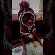 Меме Купи Киндер