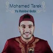 Muhammad Tarek Ya Habibal Qolbi Minus