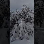 Метели Сакартвело