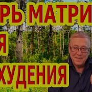 Царь Матрица Для Похудения Лучшая Программа Для Снижения Веса