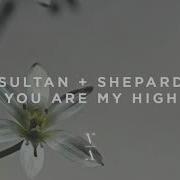You Are My High Sultan Shepard