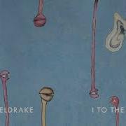 Cosmo Sheldrake I To The Maybe Go