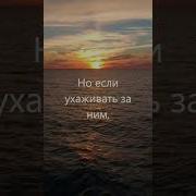 Встретилась Мне Женщина
