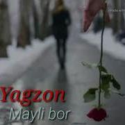 Майли Бор Ушаларга Ягзон