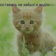 Опасная Тропа Коты Воители Алдиокнига