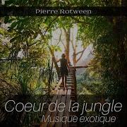 Sons De La Nature Pierre Rotween