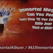 Immortal Megamix Can You Feel It Don T Stop Til You Get Enough Billie