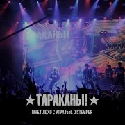 Мне Плохо С Утра Feat Distemper Тараканы