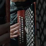 Мелодия На Гармошке