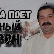 Поет Цыган Черный Ворон