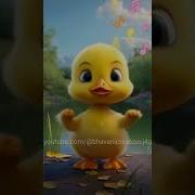 Yellow Duck Dance Musically Tiktok Duck Dancing Challenge In Tik Tok