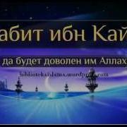 Салама Ибн Кайс