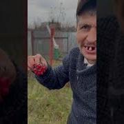 Калина Красная Любовь Опасная