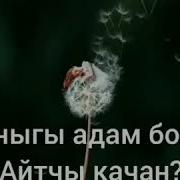 Апаке Мен Сизди Жакшы Кором