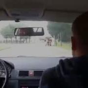 Залуучууд Ингэдэг Л Биздээ