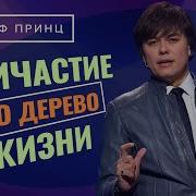 Джозеф Принс