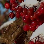 Зимняя Скзка Сборник Грищука